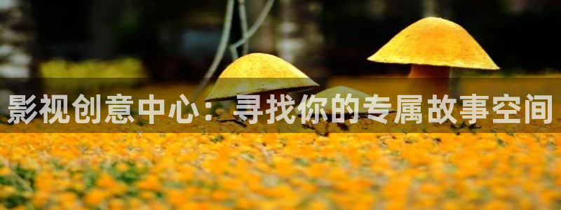 九七电影院在线播放：影视创意中心：寻找你的专属故事空间