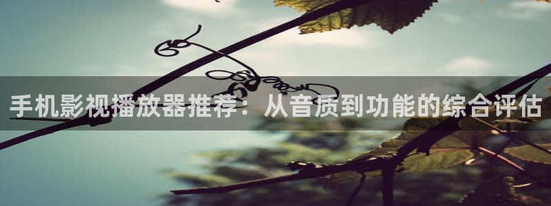 九七影院午夜剧场：手机影视播放器推荐：从音质到功能的综合评估