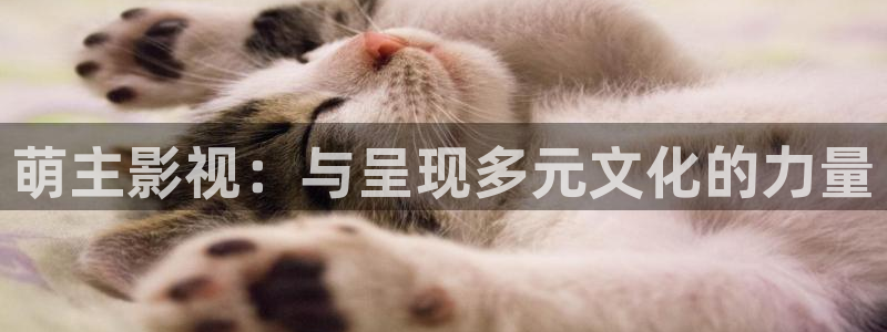 九七伦理片：萌主影视：与呈现多元文化的力量