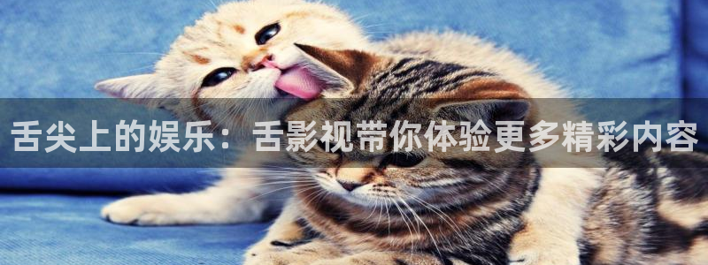 九七电影伦理
