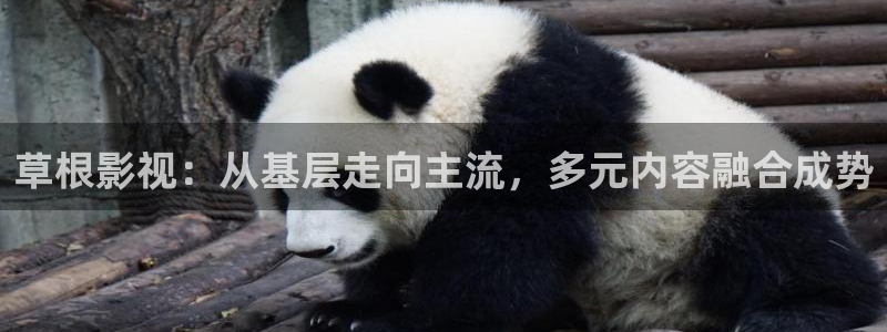 九七电影院不用下载
