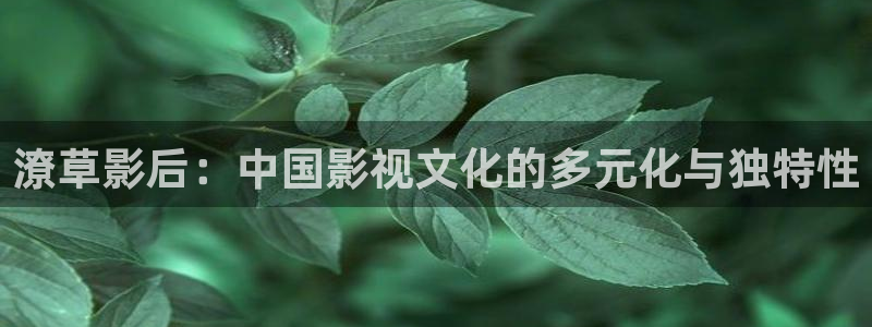 九七影院在线观看免费观看