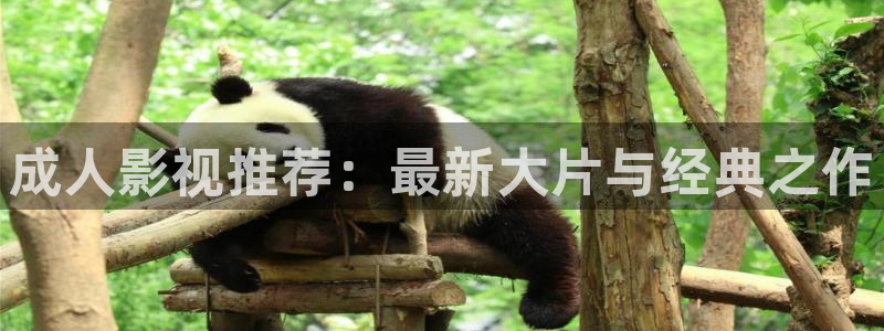 九七影院理论